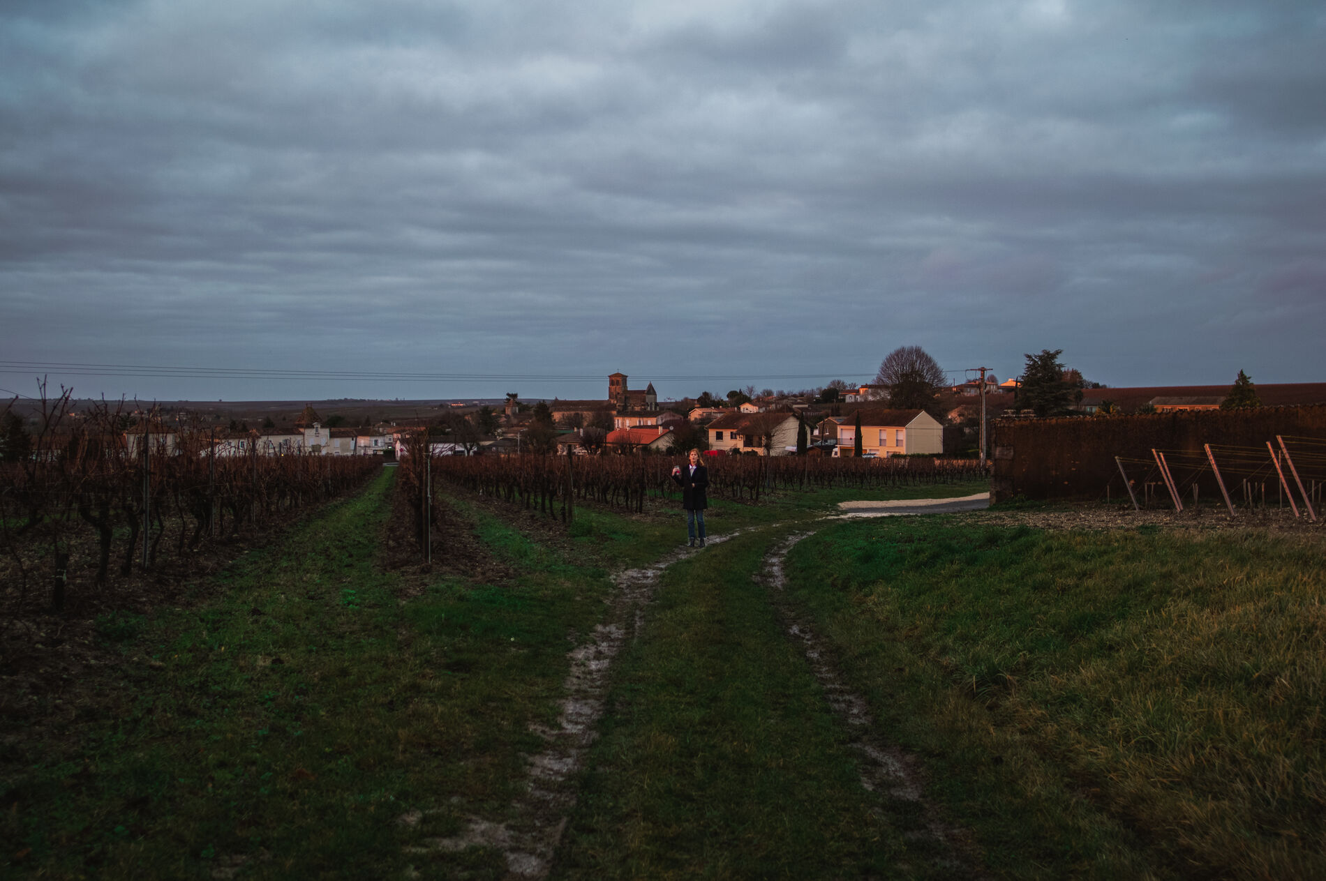 A person standing in a vineyard path at dusk