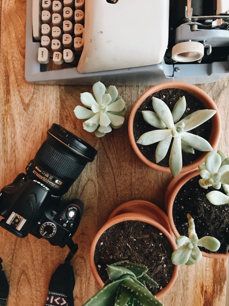 A typewriter, a camera and small succulents on a wooden table, from above