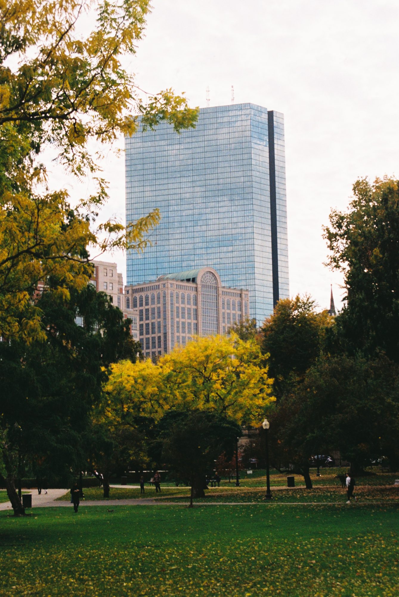 A city tower rising above autumn trees and a park lawn